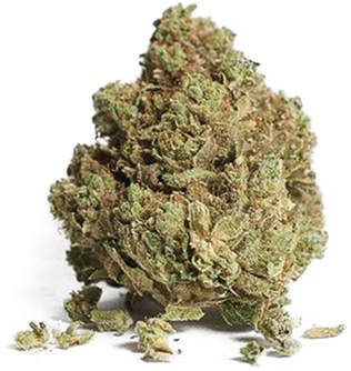 Chewbacca Recreational Marijuana In Denver