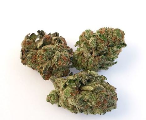 Spec Ops Recreational Marijuana In Denver