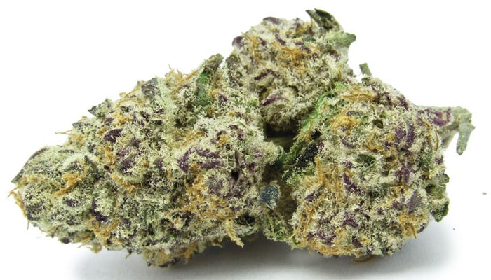 Grape (Purple) Punch Recreational Marijuana In Denver
