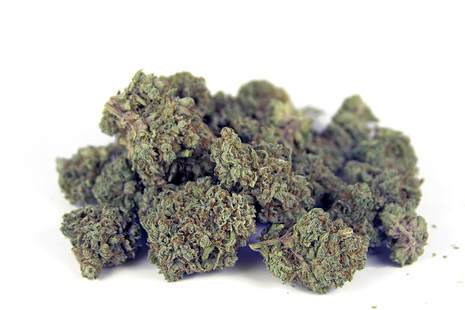 Palace Kush Recreational Marijuana In Denver