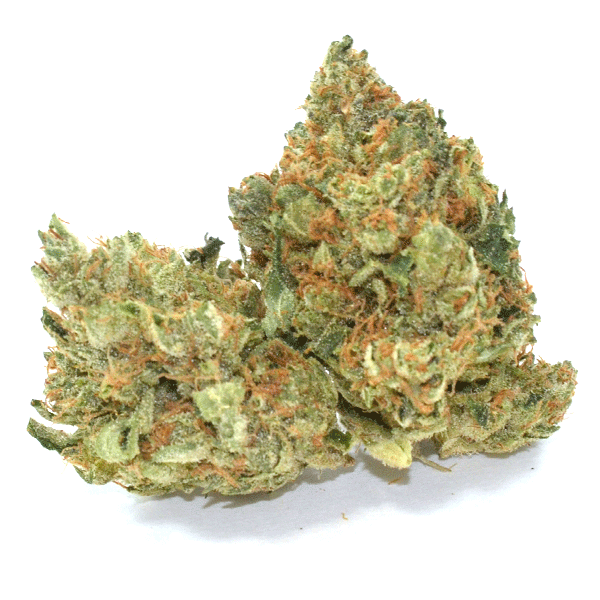 Sour Jefe Recreational Marijuana In Denver